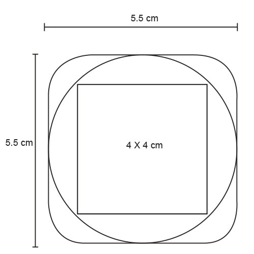SQUISHY SQUISHY LP 13