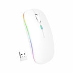 MOUSE DOUGLAS MOU 100